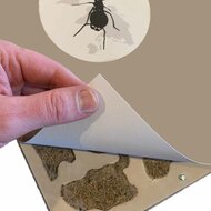 Beschutten mierenkolonie in nest met antcover