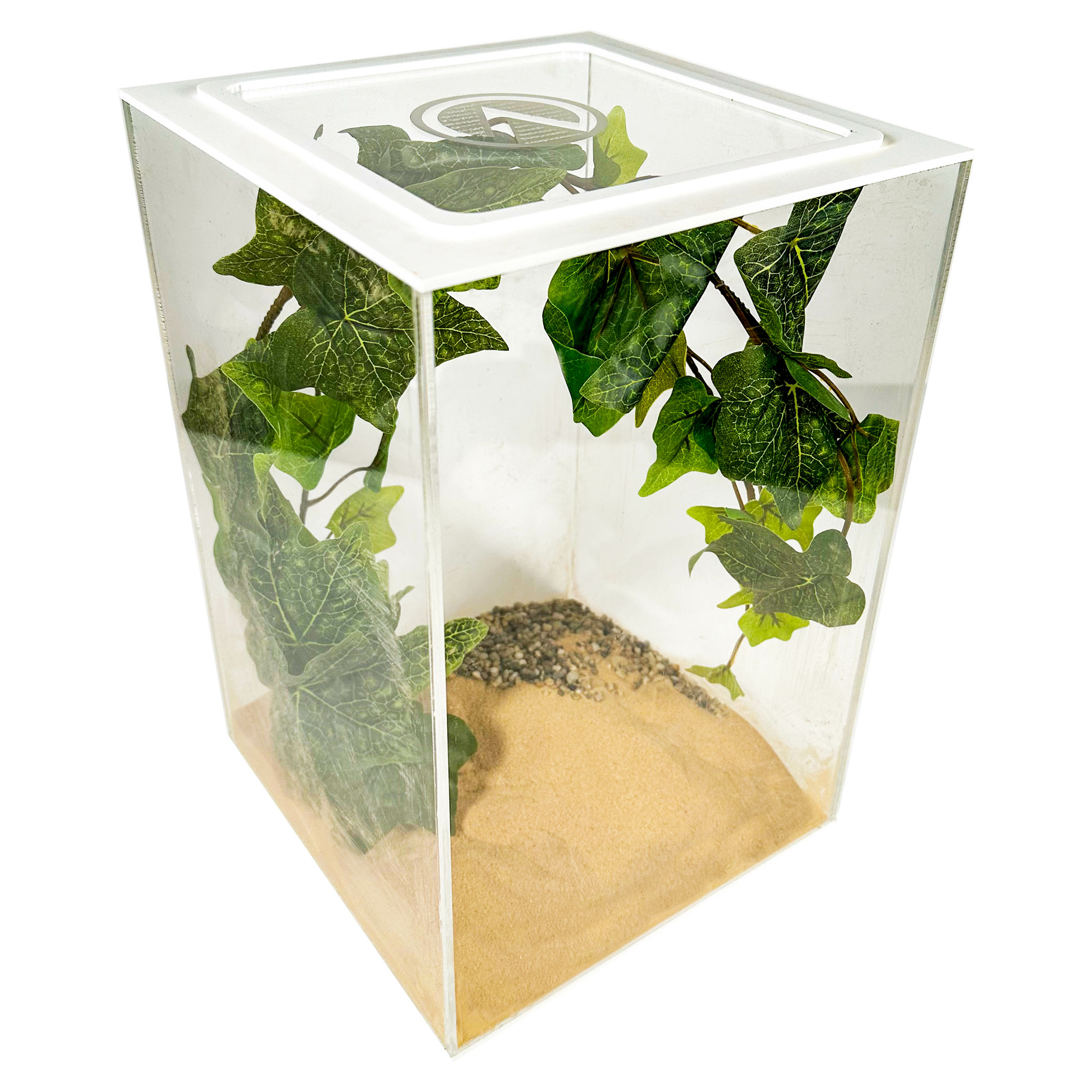 Insecten terrarium