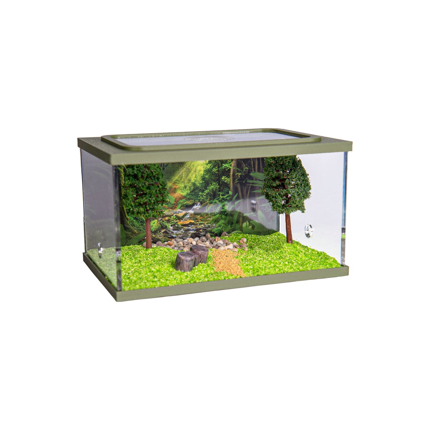 Town Square Arena (15x10x9 cm)