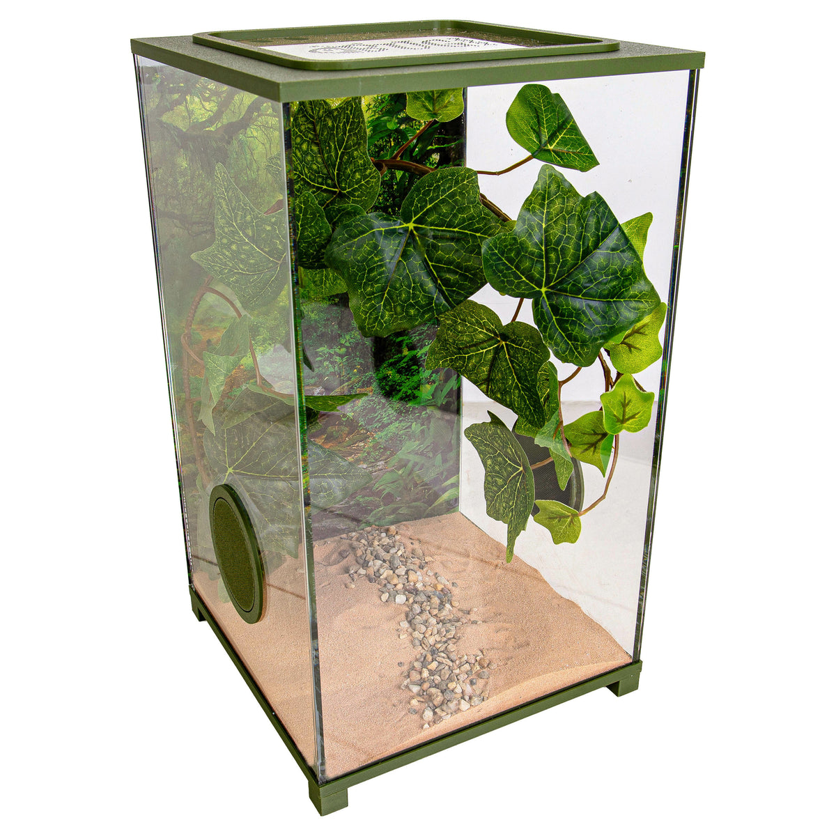 BioDome Insecten Terrarium hoofdfoto