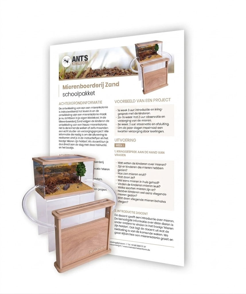 Ameisenfarm Sand Schulset - Komplettes pädagogisches Grabprojekt für Schulen & Horte