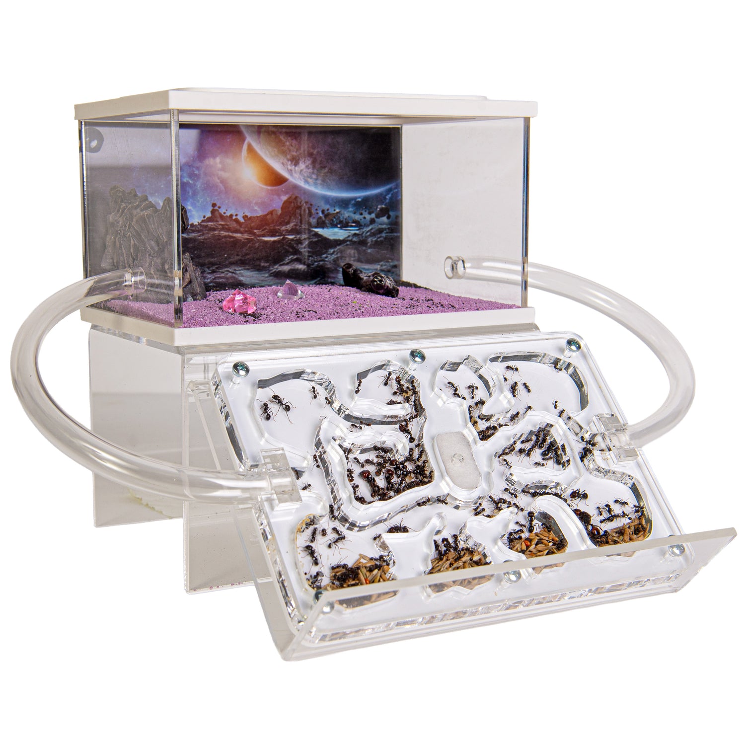 Ameisenfarm Acryl Starter-Set – Selbst zusammenstellen