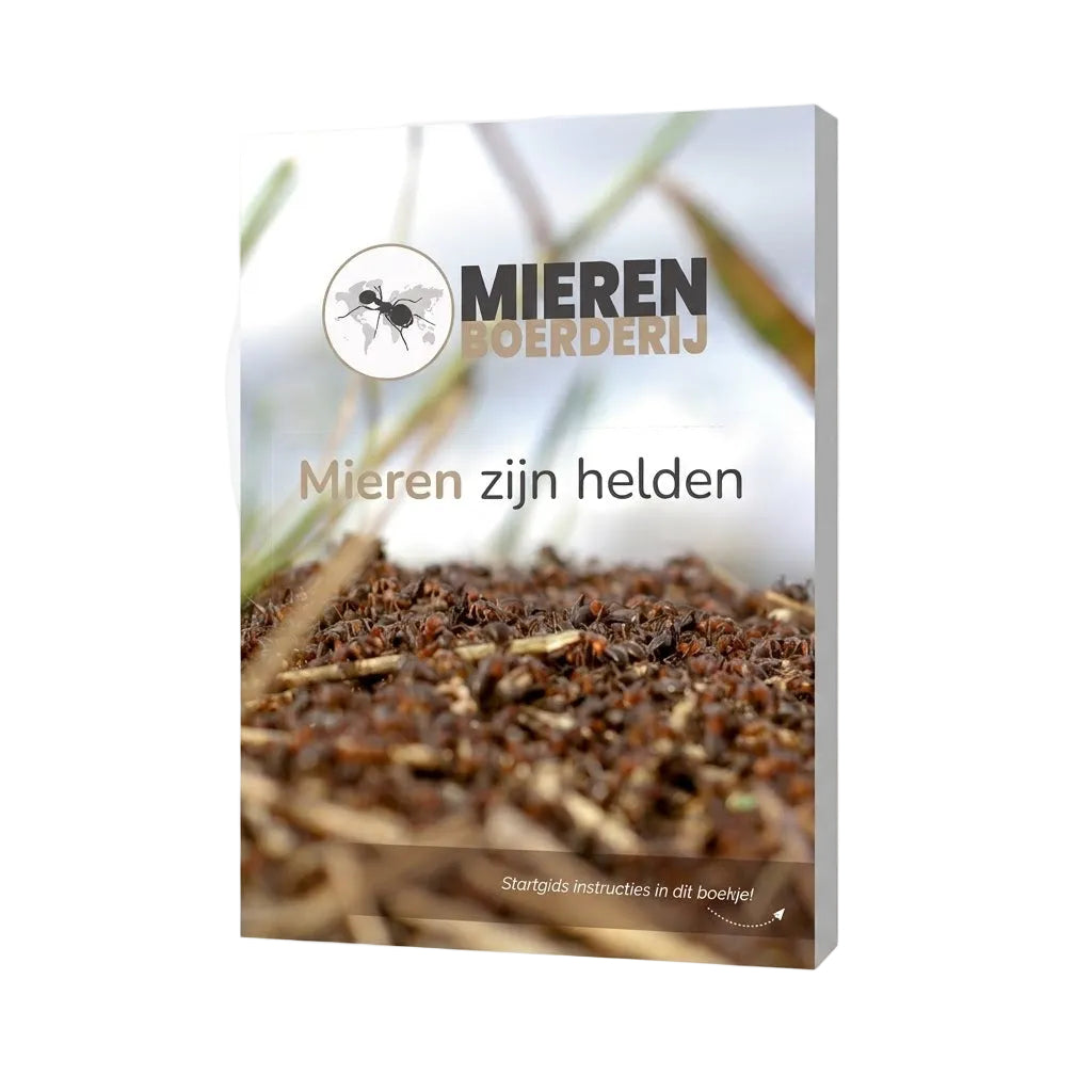 Informationsbroschüre „Ameisen sind Helden!“ – Lehrreiches Buch über Ameisen